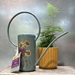 Asteraceae Watering Can  - 648108