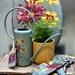 Asteraceae Watering Can  - 648108