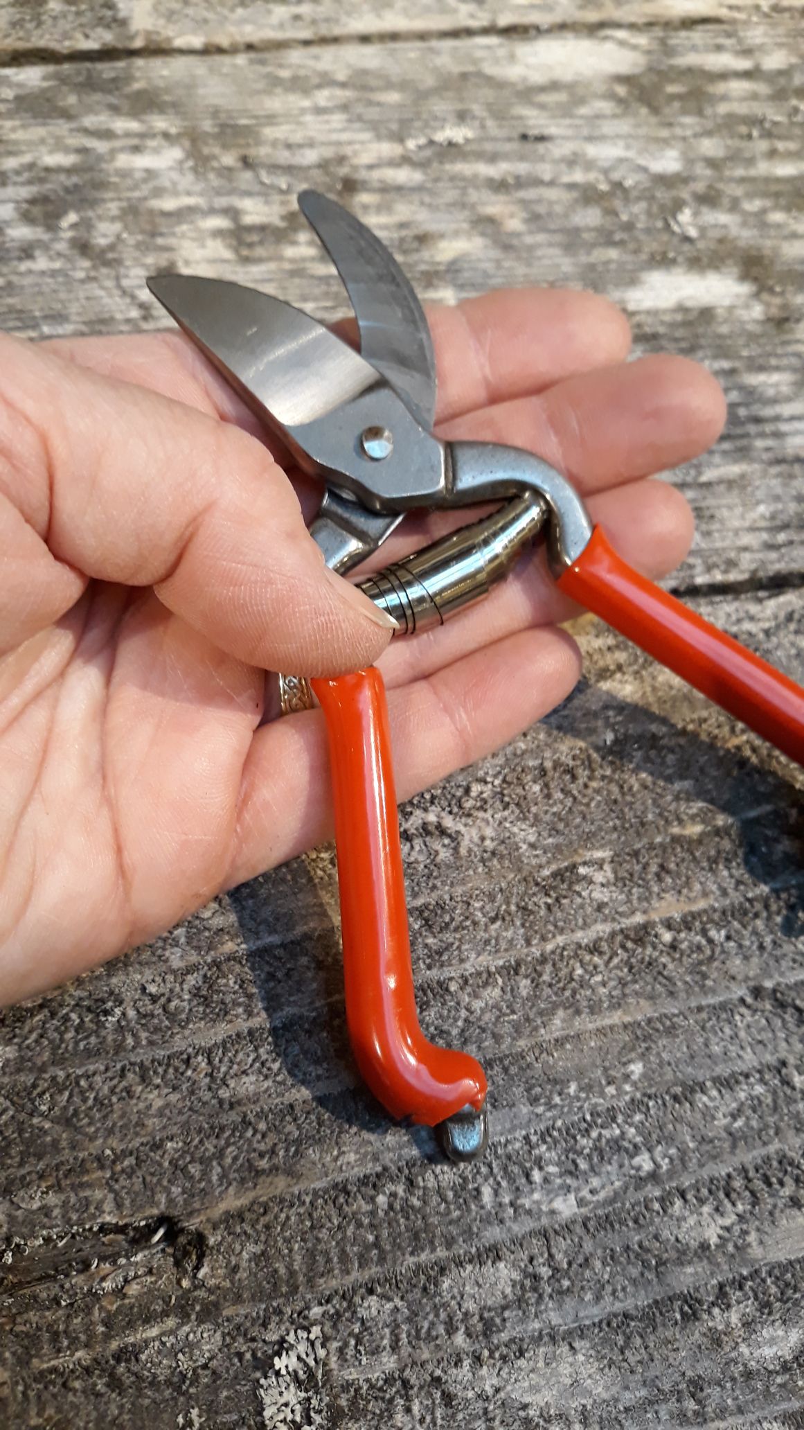 Mini Secateurs, Garden Shears for Small Hands 18,5 cm