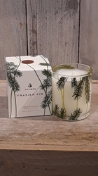 Frasier Fir Aromatic Candle 